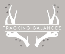 Tracking Balances