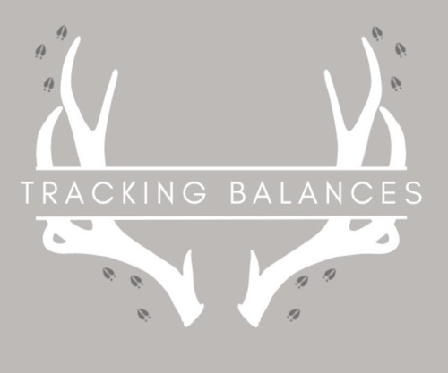 Gallery Image tracking%20balances%20logo.jpg