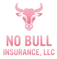 No Bull Insurance 