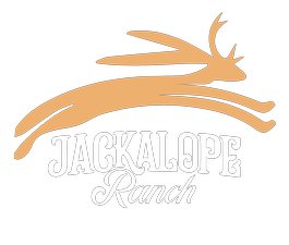 Jackalope Ranch 