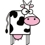 Wifi-Cow Wyoming