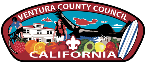 Gallery Image council-patch-latest-768x329.png