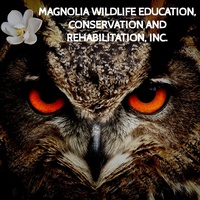 Magnolia Wildlife Education, Conservation and Rehabilitation