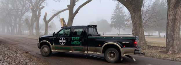 Tree Medic