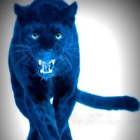 Blue Panther SA