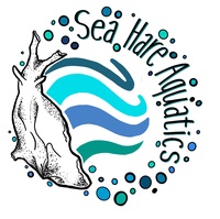 Sea Hare Aquatics