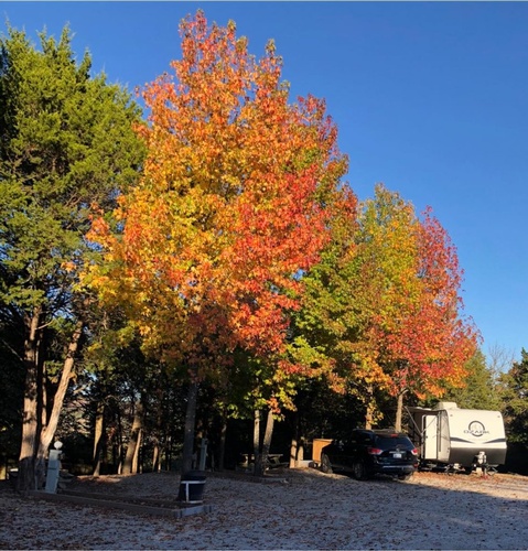 Gallery Image campsite.jpg Gallery Image campsite.jpg