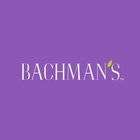 Bachman's
