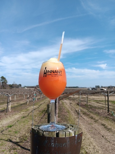 Gallery Image 645949836_1512018590933103_3100156383651240160_n.jpg