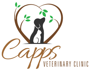 Capps Veterinary Clinic, PLLC