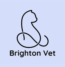 Brighton Veterinary Clinic