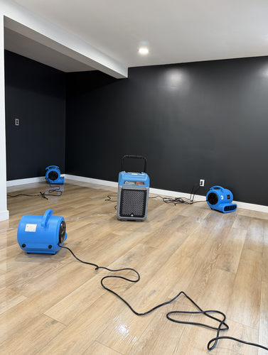 Gallery Image Screenshot%202026-02-19%20at%204.08.39andX8239.PM.png