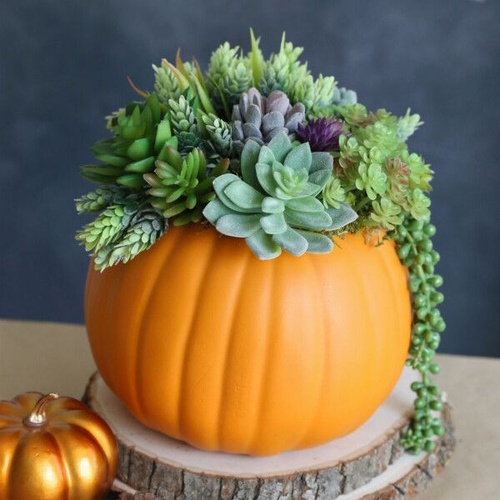 Succulent Pumpkin City of Santa Fe Springs Succulent Pumpkin City of Santa Fe Springs