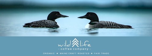 Gallery Image wild%20life%20coffee%20media.jpg Gallery Image wild%20life%20coffee%20media.jpg