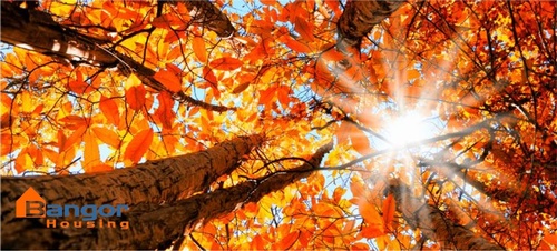 Gallery Image bangor%20housing%20media.jpg Gallery Image bangor%20housing%20media.jpg