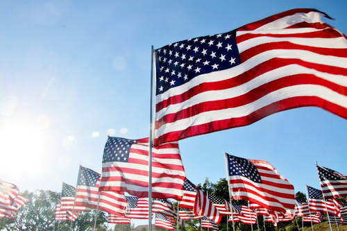 Gallery Image flag.png