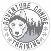 Adventure Canine Training