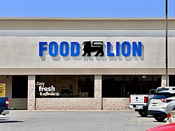 Gallery Image food%20lion.jpg