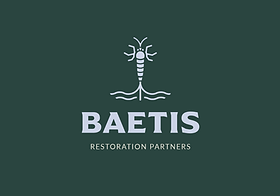 Baetis Restoration Partners