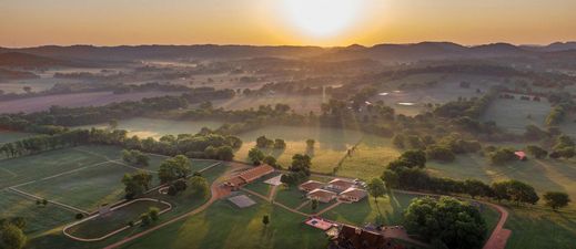 The Farm Wellness Escape