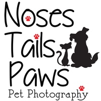 NosesTailsPaws Pet Photography