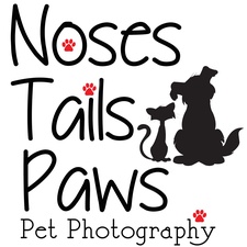NosesTailsPaws Pet Photography