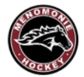 Menomonie Ice Board & Youth Hockey