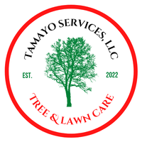 Tamayo Services LLC 