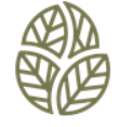 Sacred Frequencies Wellness Center