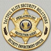 Tactful Elite Security Solutions, LLC Tactful Elite Security Solutions, LLC