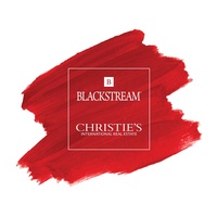 Blackstream International Real Estate