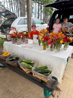 Haleswood Farms LLC