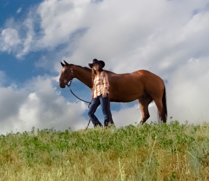 Wild Wilderness Horseback 1/2 day and full day nature riding workshops