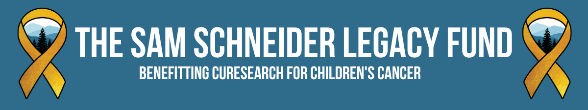 The Sam Schneider Legacy Fund benefitting CureSearch for Children's Cancer