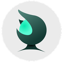 Viridian Web Studio