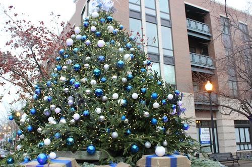 Gidding's Plaza Christmas Tree 2014