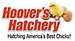 Hoover's Hatchery