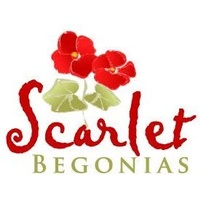 Scarlet Begonias