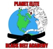 Planet Elite Martial Arts by Eliteone Martial Arts LLC