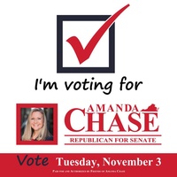 Amanda Chase For Senate