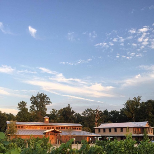 Gallery Image 71803731_1919680644844782_2344377150850727936_n.jpg