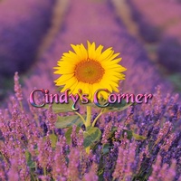 Cindy's Corner
