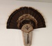 Frontier Arms Taxidermy