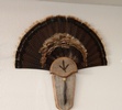 Frontier Arms Taxidermy Frontier Arms Taxidermy