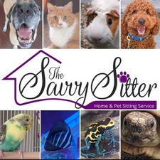 The Savvy Sitter, Pet Sitting and Dog Walking