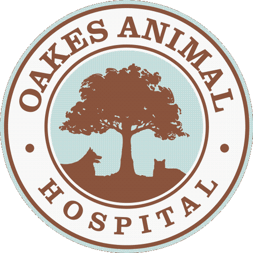 Oakes Animal Hospital | VETERINARIANS