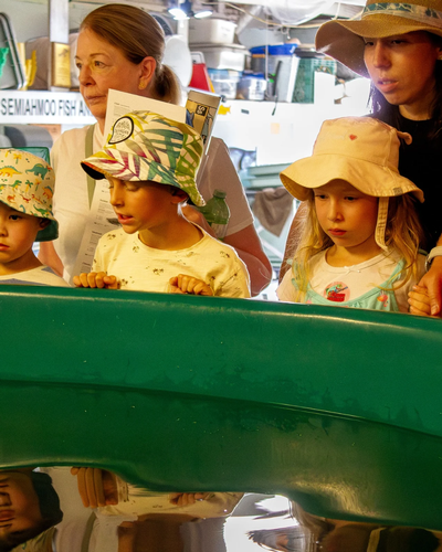 3rd Annual Salmon Sessions 