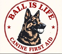 Ball is Life Canine First Aid Training 