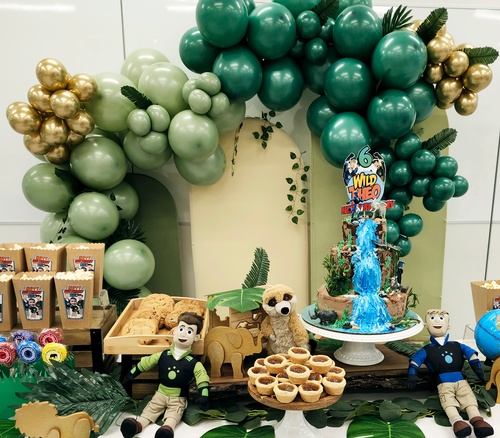 Gallery Image 1wild%20kratts%20close.jpg