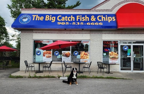 Gallery Image IMG_0152.jpeg